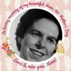 Meet your Posher, Lamoine